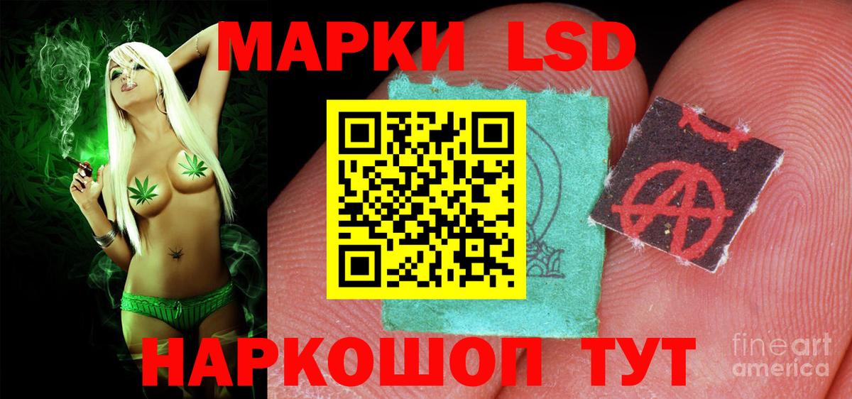 Пугачёв  LSD-25 экстази кислота  Вход с VPN 