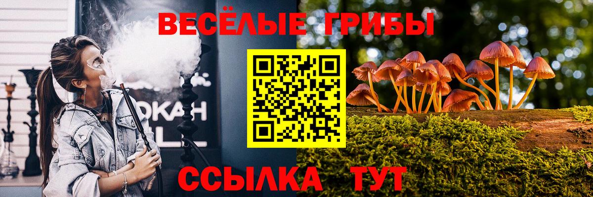 Псилоцибиновые грибы мухоморы  Вход с VPN  Пугачёв  Галлюциногенные грибы Cubensis 
